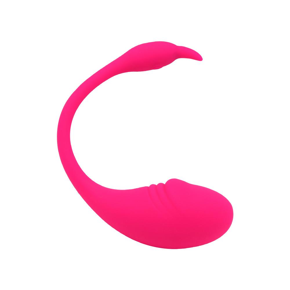 Hot Selling Rechargeable App Remote Controlled G Spot Clitoris Stimulator Vibrating Egg Sex Toys For Woman