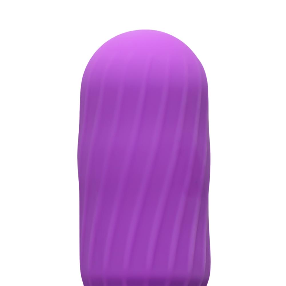 Purple 10-Speed Rechargeable Vibrating Bullet with Silicone Grip Handle